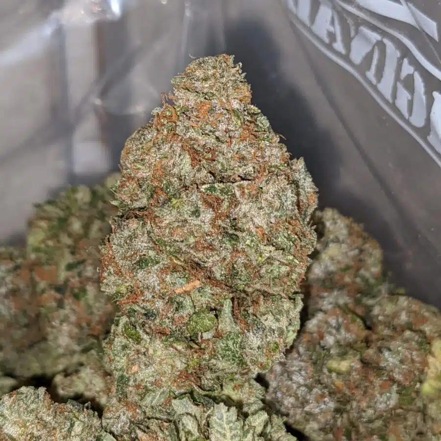 La confidental dod 1 I LA Confidential - *Deal of the Day*