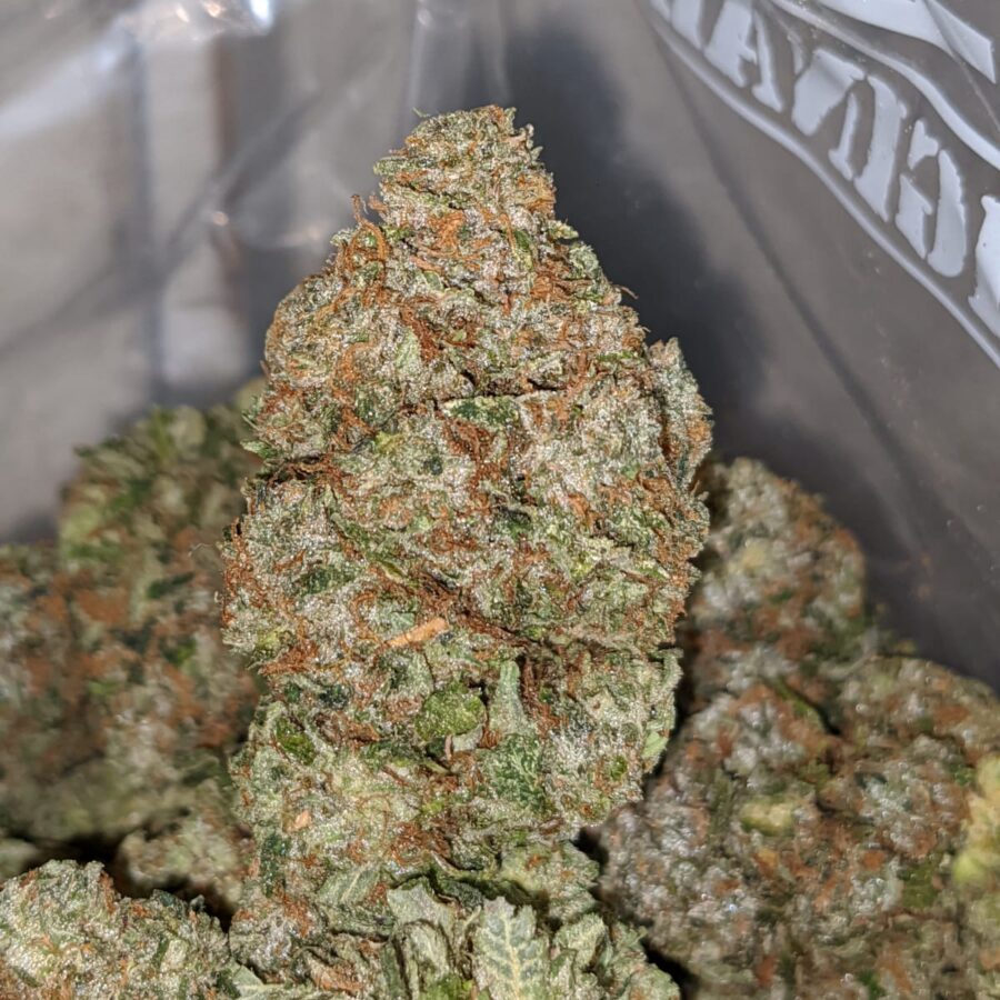 LA Confidential - *Deal of the Day* - Image 3