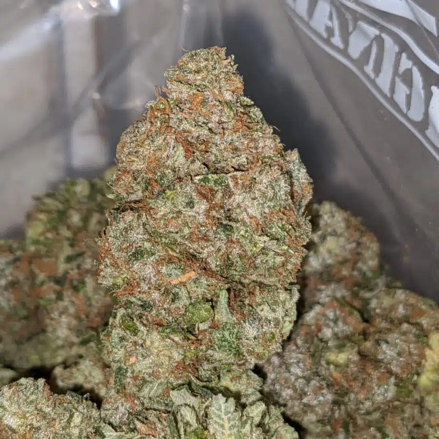 La confidental dod 2 I LA Confidential - *Deal of the Day*