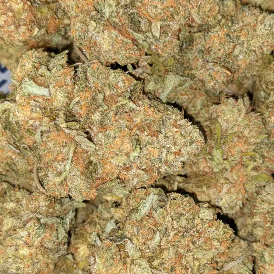 ORANGE COMATOSE 1 I $69 Oz - Orange Comatose
