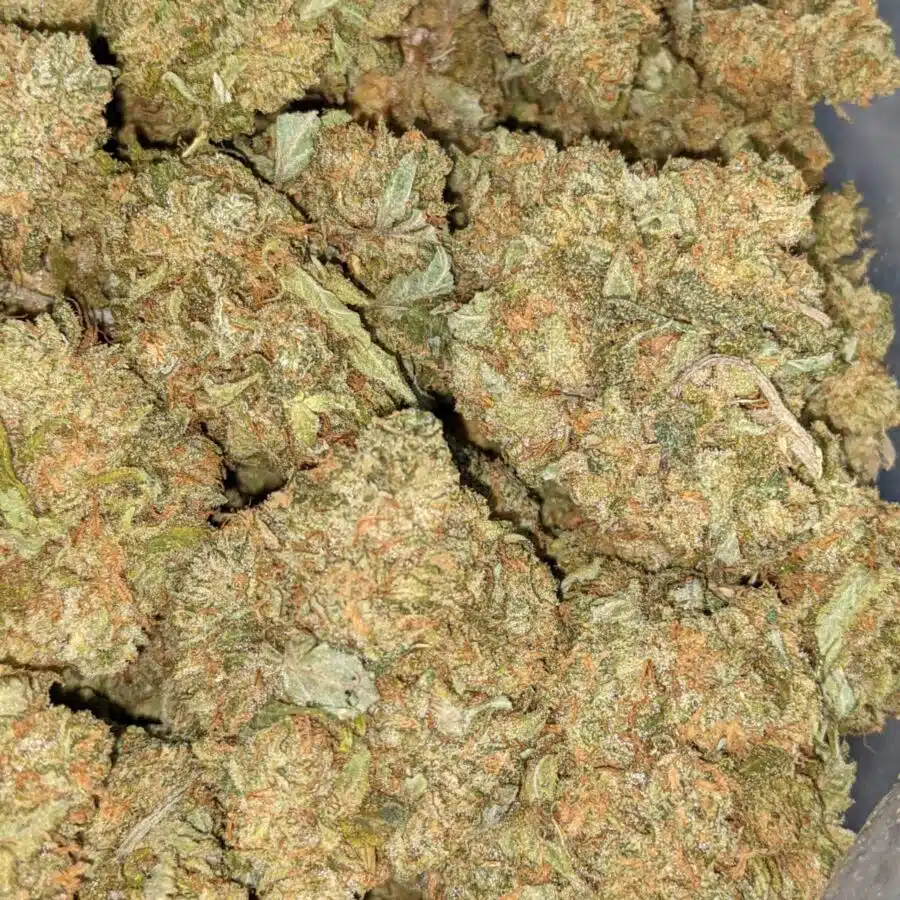 ORANGE COMATOSE 2 I $69 Oz - Orange Comatose