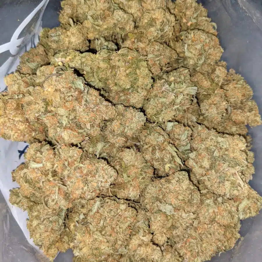 $69 Oz - Orange Comatose