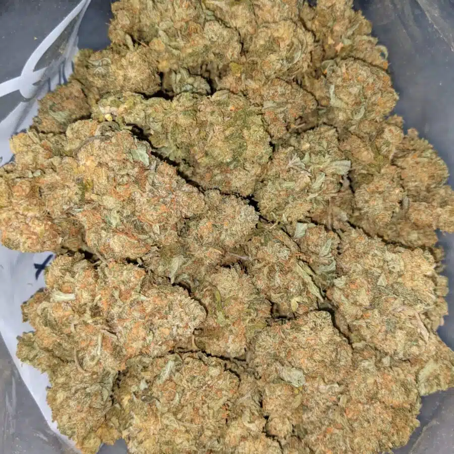 Alternative view of $69 Oz - Orange Comatose