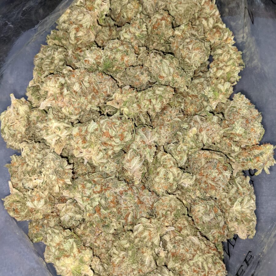 PINA COLADA BULK SPEC 2 I $59 Oz - Pina Colada
