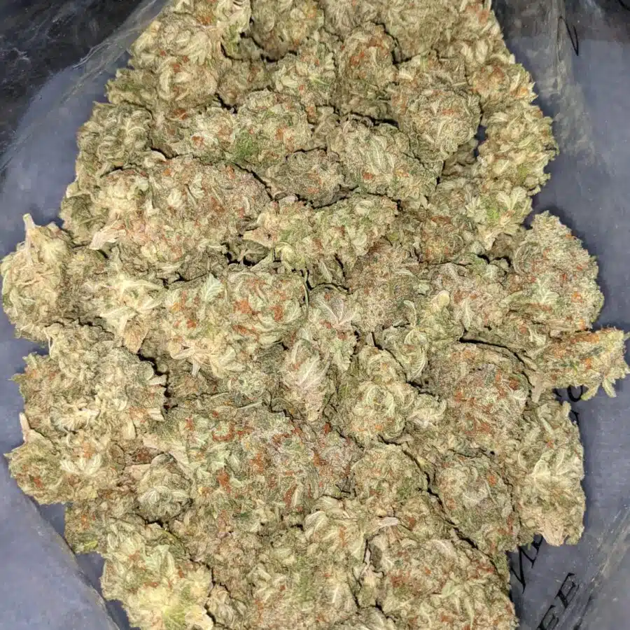 PINA COLADA BULK SPEC 2 I $59 Oz - Pina Colada