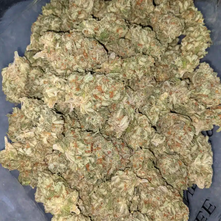 $59 Oz - Pina Colada