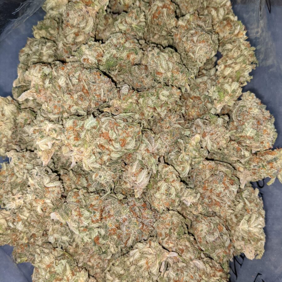 PINA COLADA BULK SPEC 5 I $59 Oz - Pina Colada