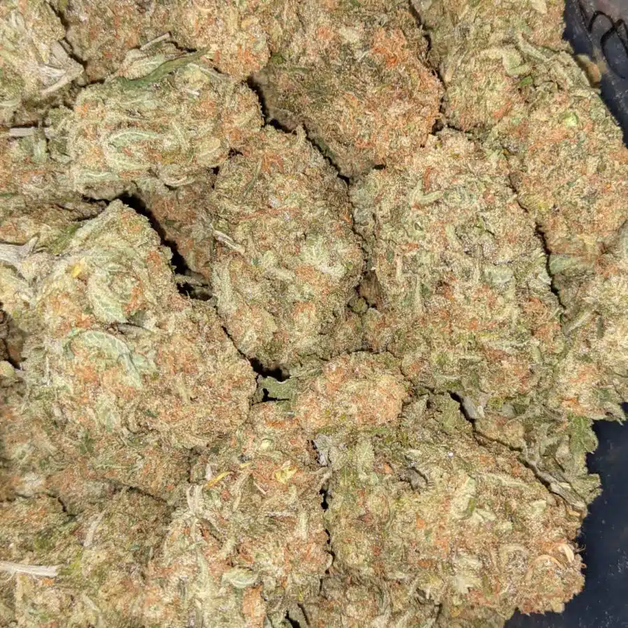 SHERBERT AAA 2 I $69 Oz - Sherbert