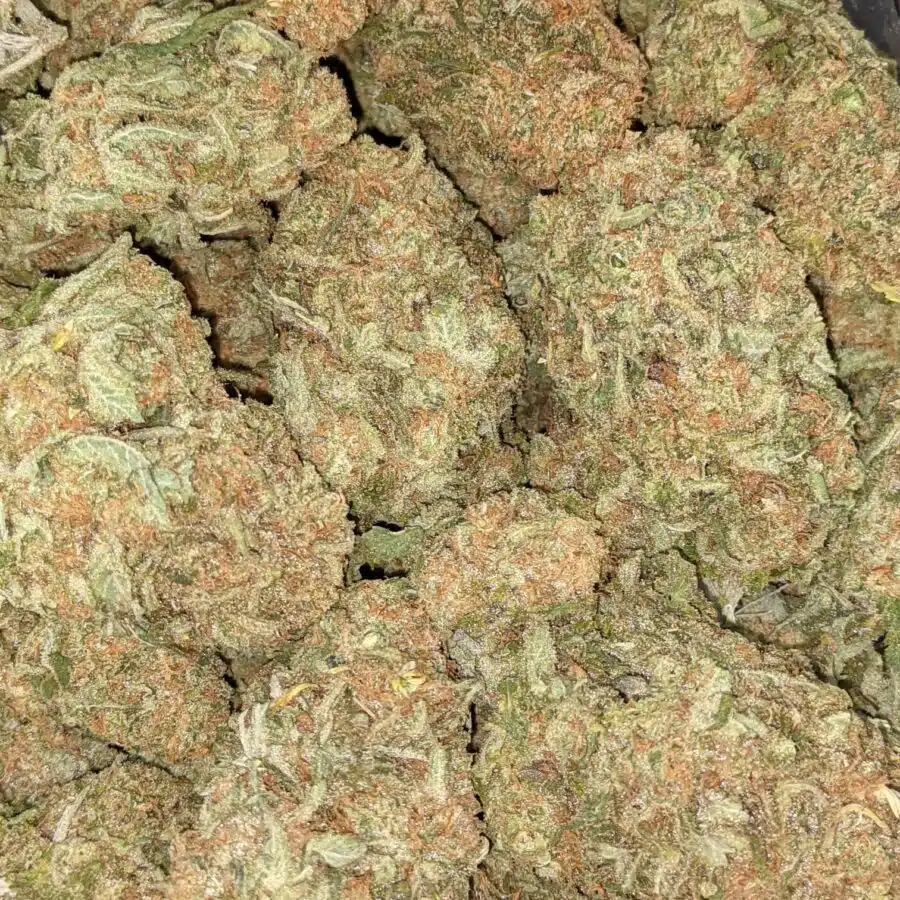 SHERBERT AAA 4 I $69 Oz - Sherbert