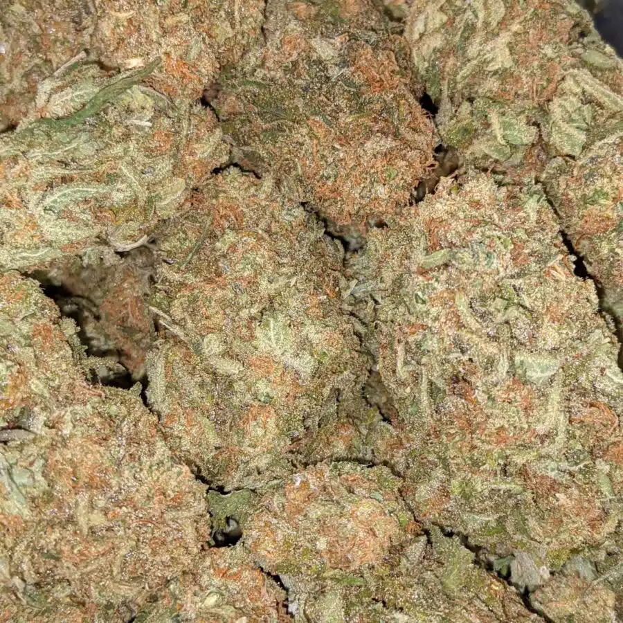 SHERBERT AAA 6 I $69 Oz - Sherbert