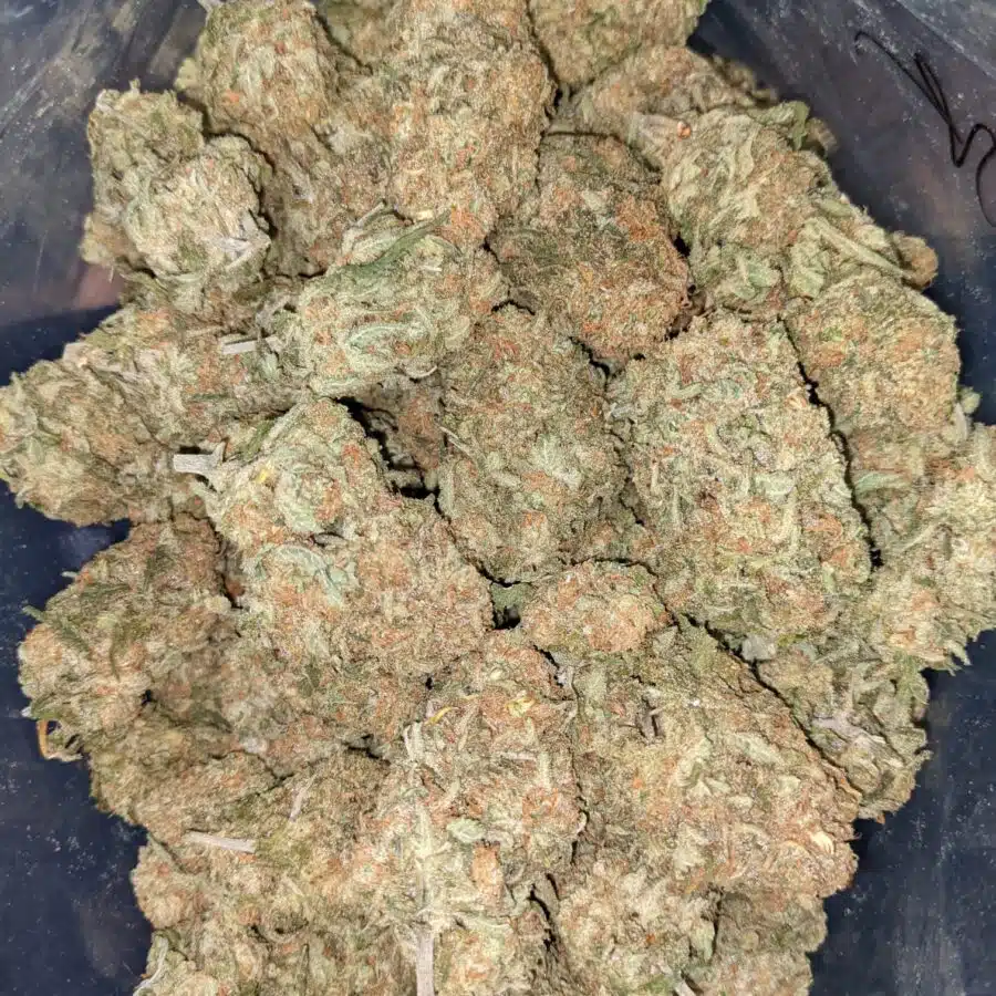 SHERBERT AAA 8 I $69 Oz - Sherbert
