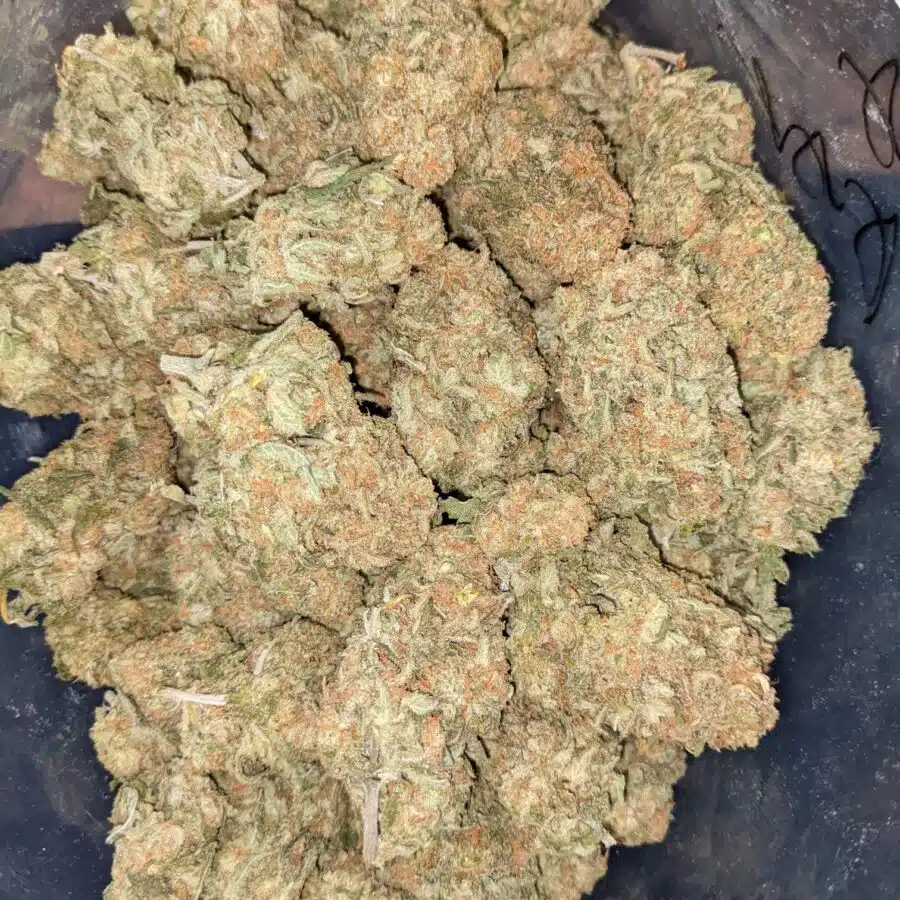SHERBERT AAA 9 I $69 Oz - Sherbert