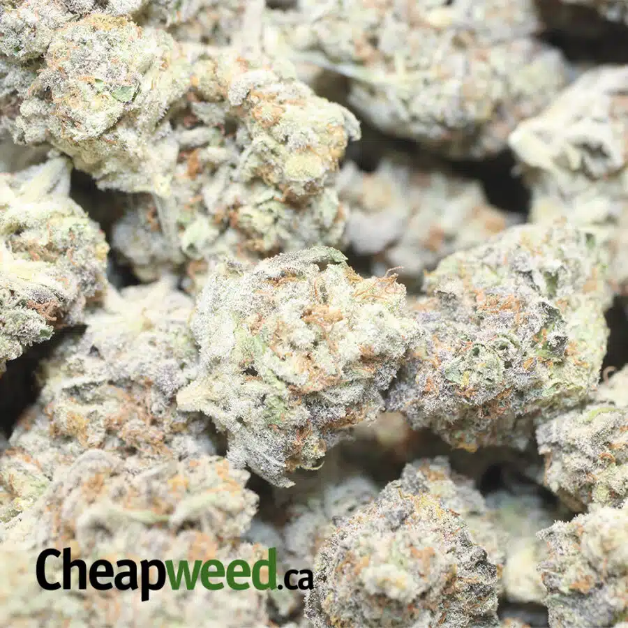 STRAWBERRY CREAM AAAA 1 I $149 Oz - Strawberry And Cream AAAA