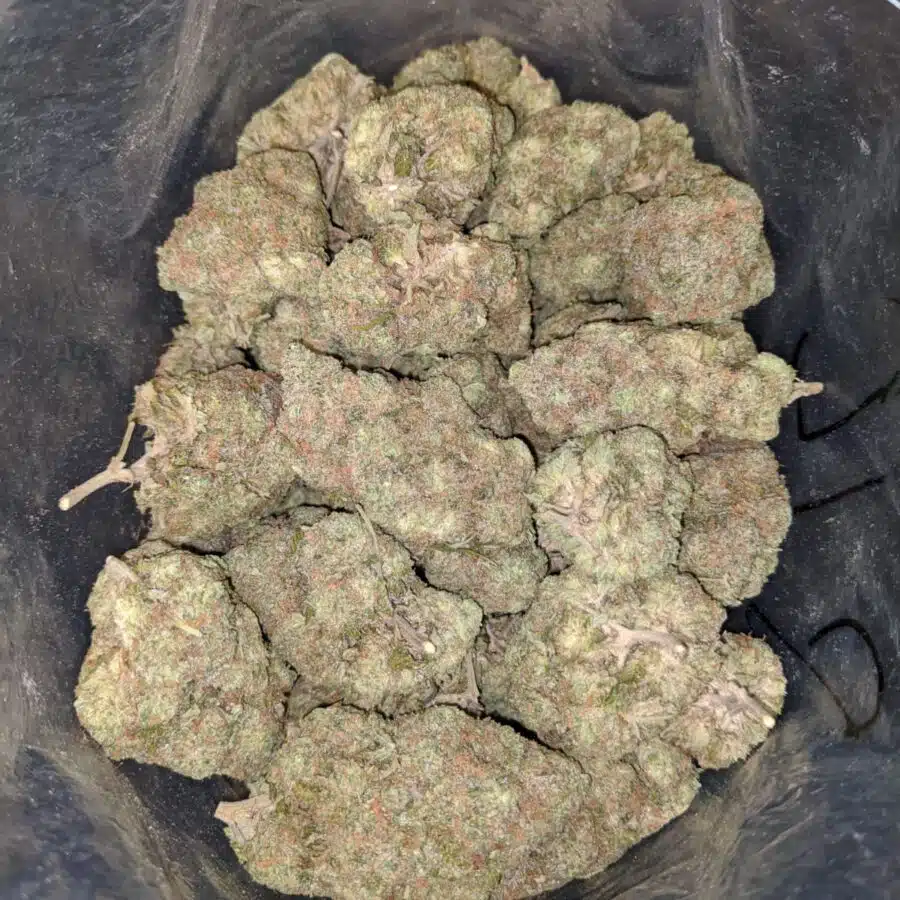 TROPICAL SUNSET 1 I $89 Oz - Tropical Sunset