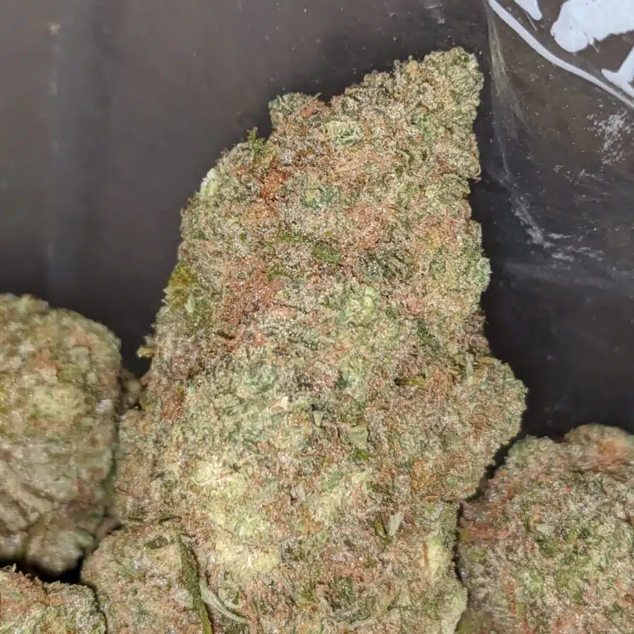 TROPICAL SUNSET 3 I $89 Oz - Tropical Sunset