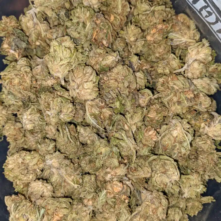 TUNA GAS 1 I Emmas Tuna (Smalls)