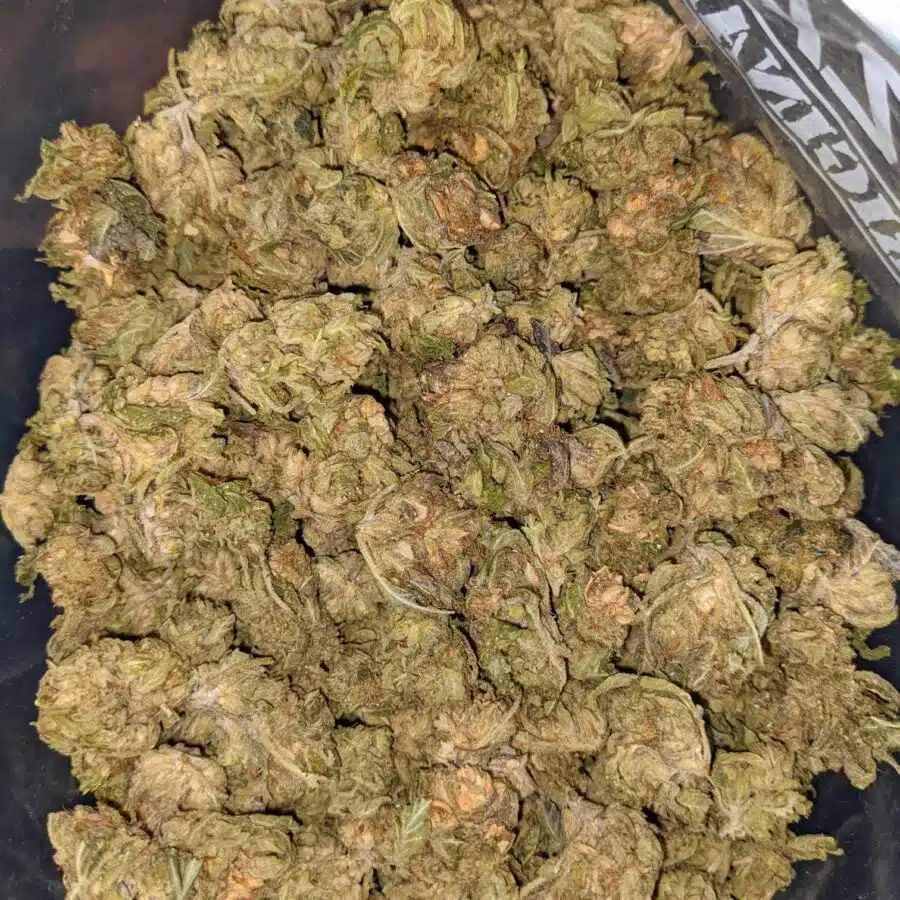 TUNA GAS 3 I Emmas Tuna (Smalls)