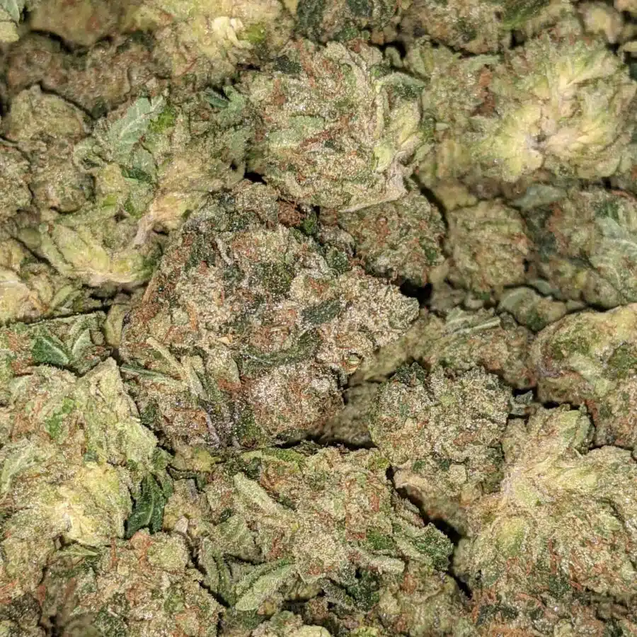 WhatsApp Image 2021 08 28 at 1.22.29 PM 2 I Pink Kubbie Kush