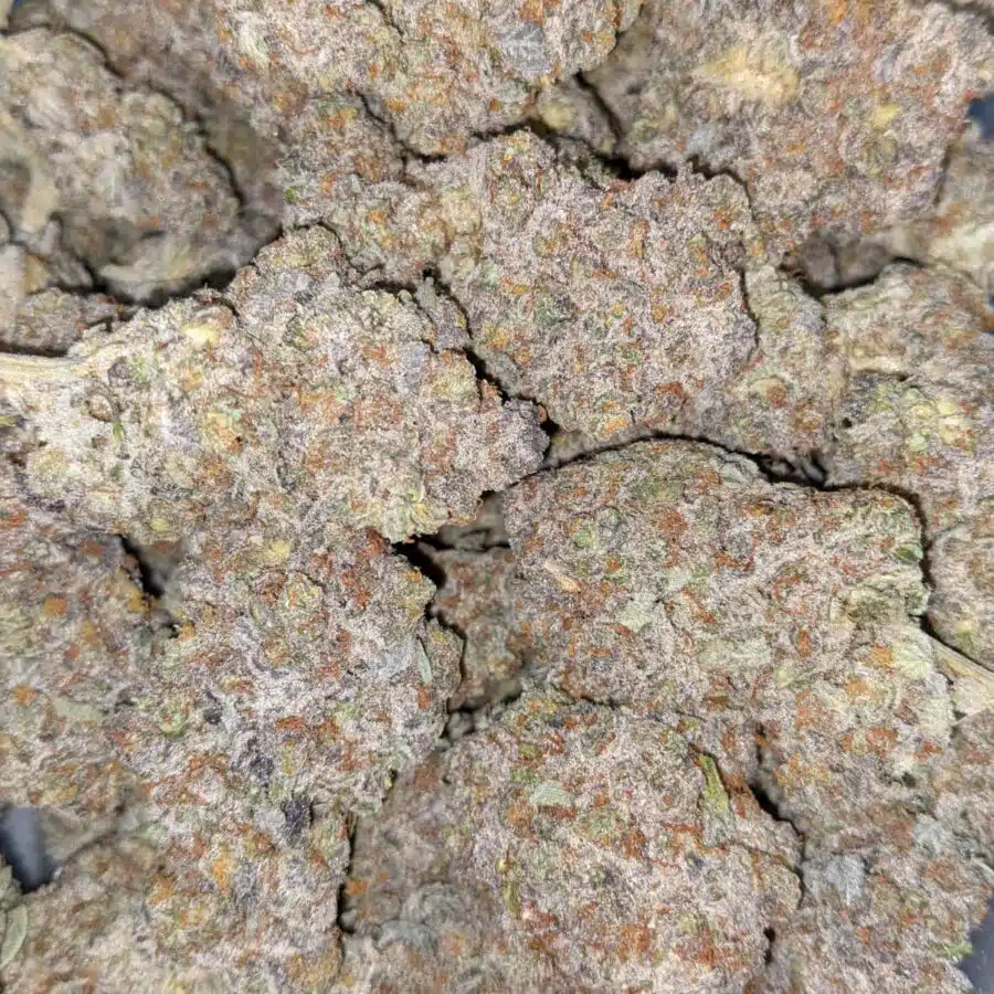 WhatsApp Image 2021 08 31 at 8.37.59 AM I $149 Oz - Strawberry And Cream AAAA
