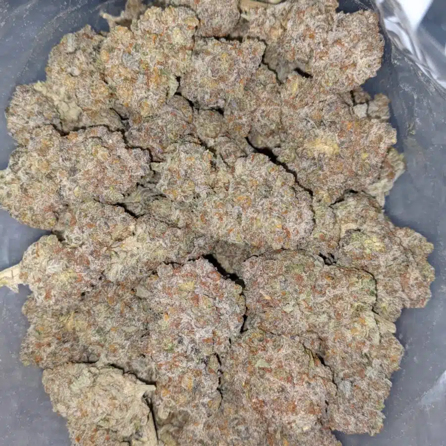 WhatsApp Image 2021 08 31 at 8.38.00 AM 2 I $149 Oz - Strawberry And Cream AAAA