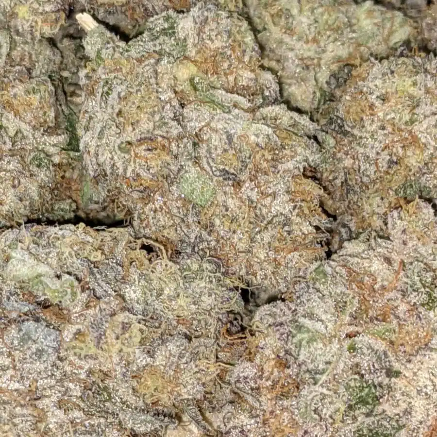 WhatsApp Image 2021 08 31 at 8.48.18 AM I La Kush Cakes AAAA+