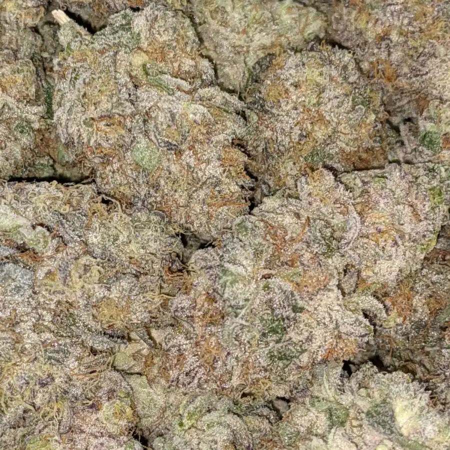 WhatsApp Image 2021 08 31 at 8.48.19 AM I La Kush Cakes AAAA+