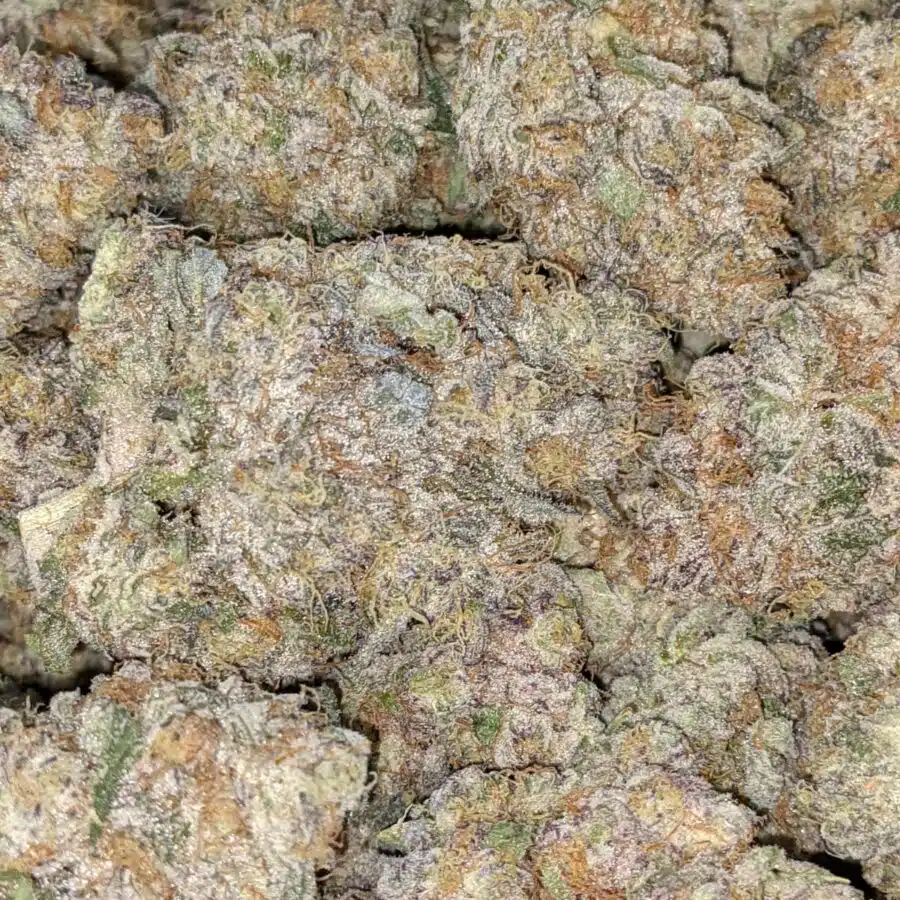 WhatsApp Image 2021 08 31 at 8.48.20 AM I La Kush Cakes AAAA+