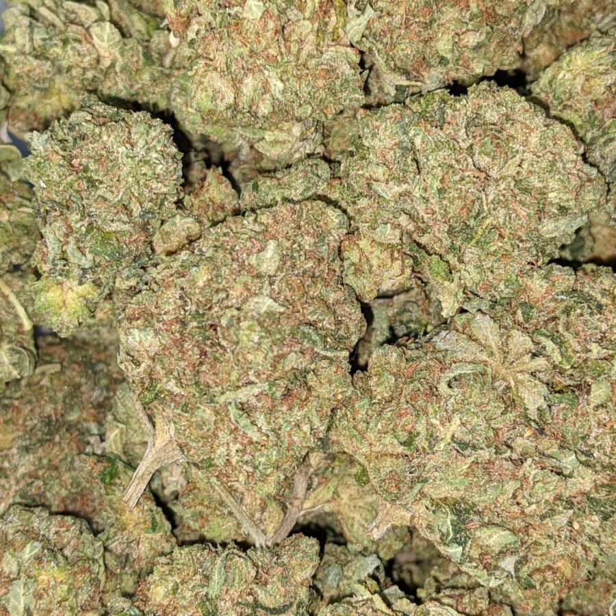 WhatsApp Image 2021 08 31 at 9.01.15 AM I PINK OG BULK SPECIAL