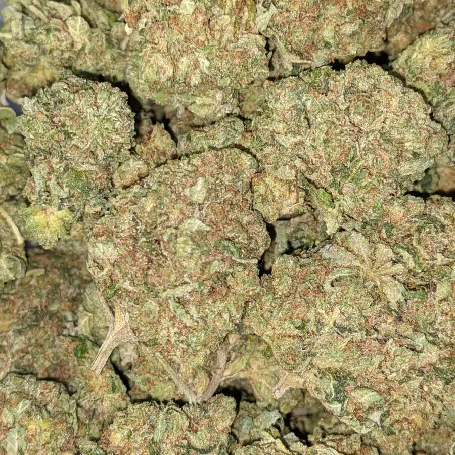 WhatsApp Image 2021 08 31 at 9.01.15 AM I PINK OG BULK SPECIAL