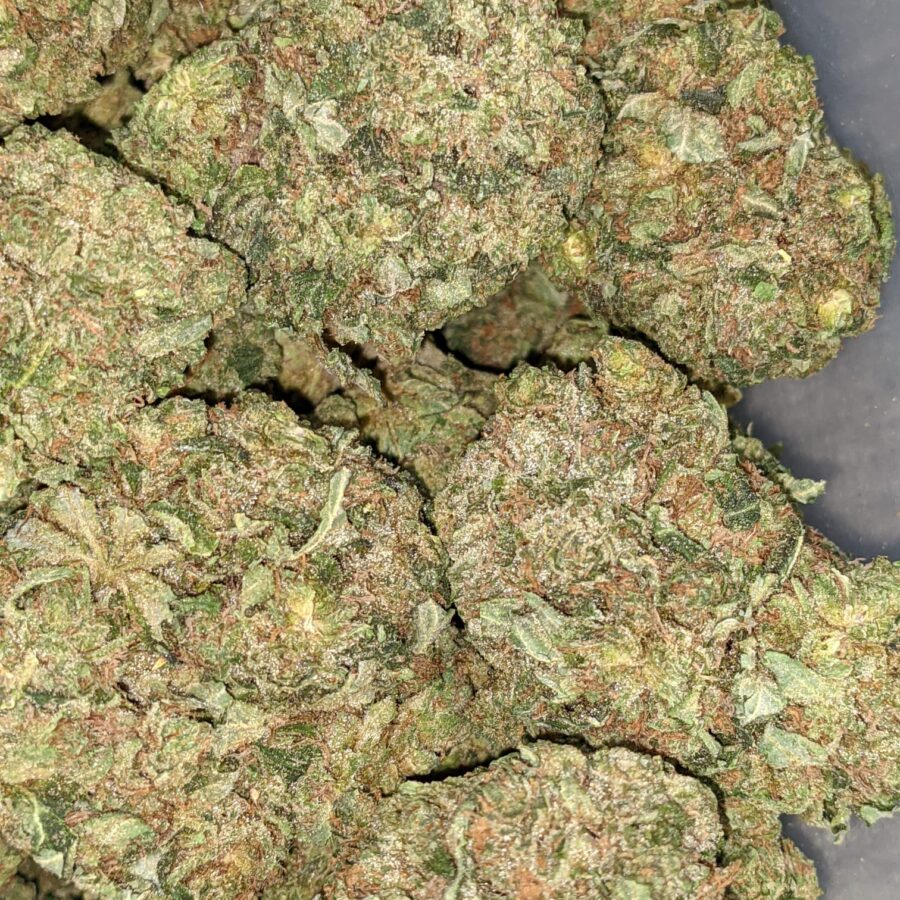 WhatsApp Image 2021 08 31 at 9.01.16 AM I PINK OG BULK SPECIAL