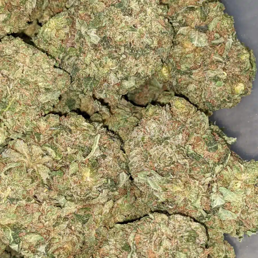 WhatsApp Image 2021 08 31 at 9.01.16 AM I PINK OG BULK SPECIAL