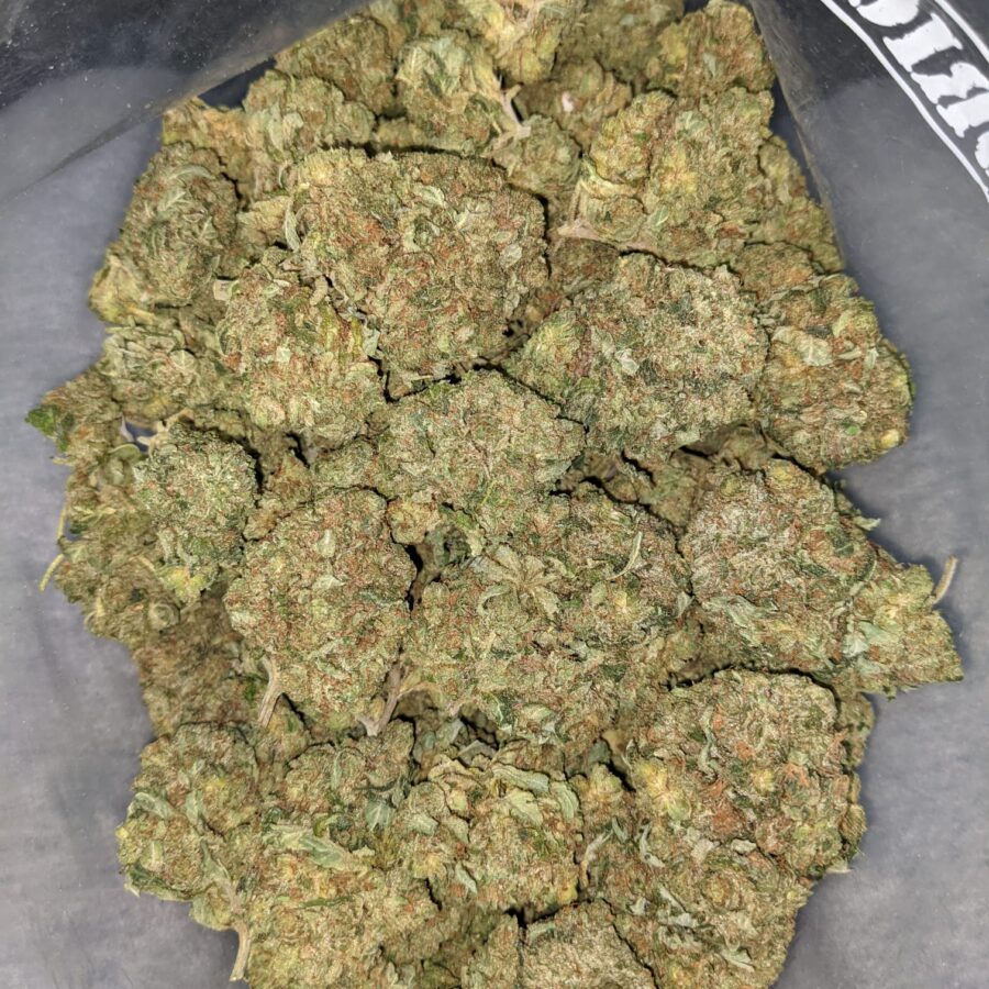 WhatsApp Image 2021 08 31 at 9.01.17 AM 1 I PINK OG BULK SPECIAL