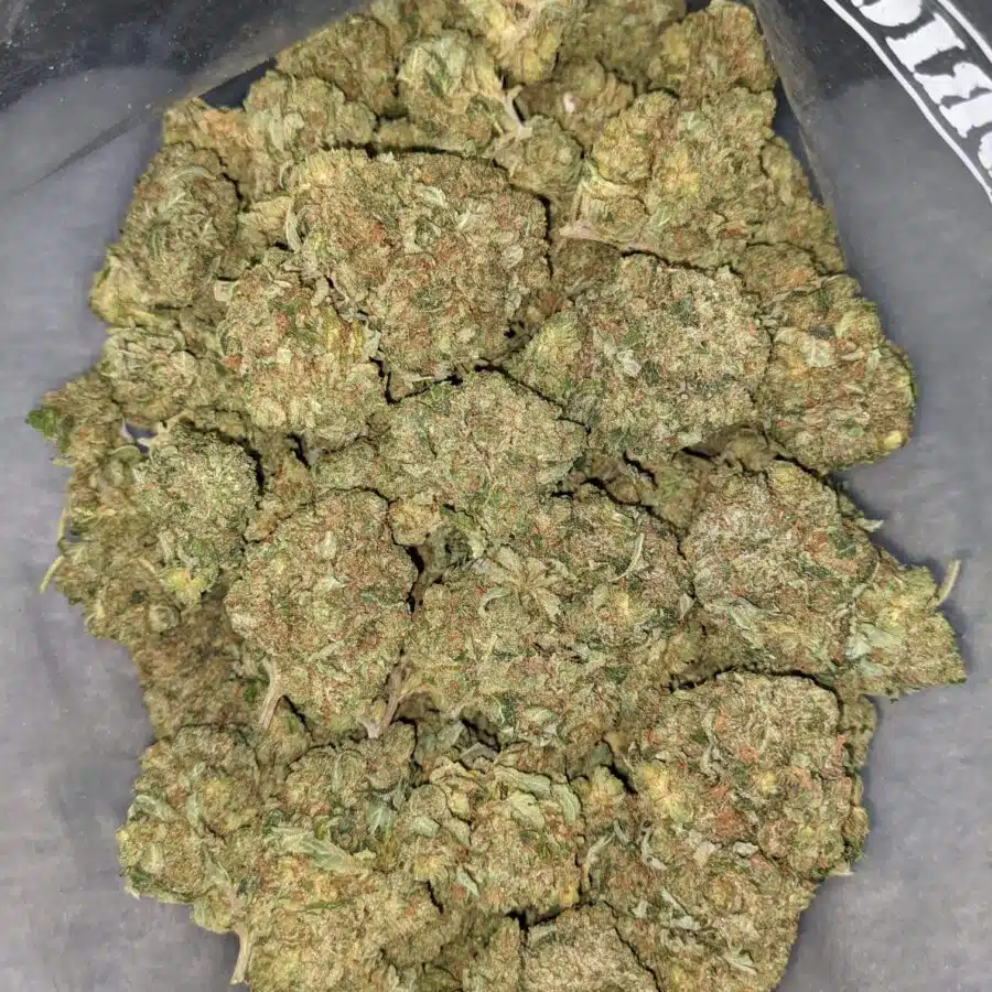 WhatsApp Image 2021 08 31 at 9.01.17 AM 1 I PINK OG BULK SPECIAL