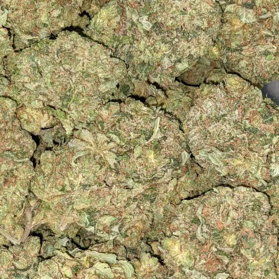WhatsApp Image 2021 08 31 at 9.01.17 AM I PINK OG BULK SPECIAL