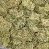 $100 OG Got Bit of Dank