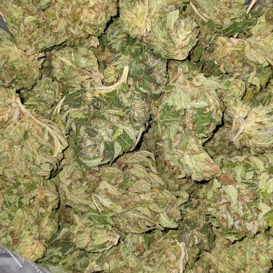 $100 OG Got Bit of Dank