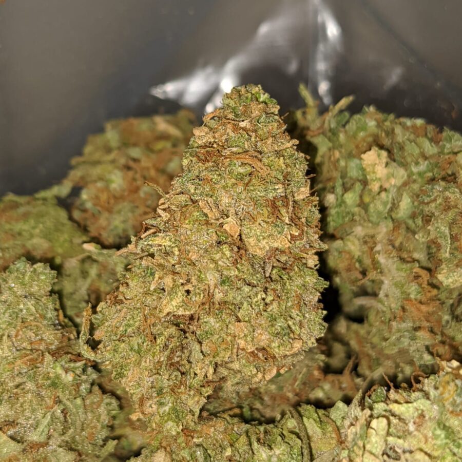 apple kush aa 2 I Apple Kush AA+