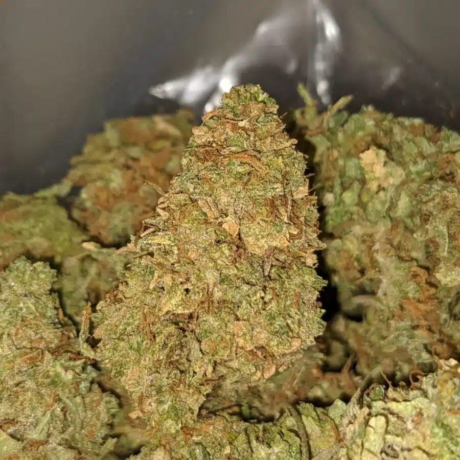 apple kush aa 2 I Apple Kush AA+