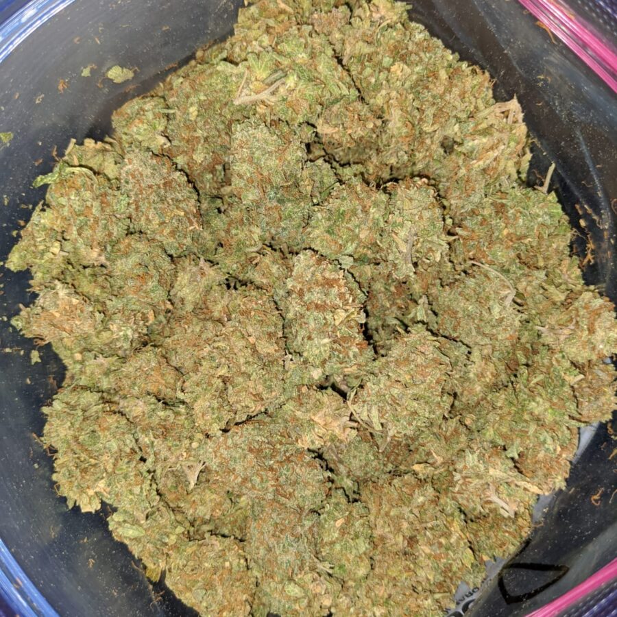 apple kush aa 3 I Apple Kush AA+