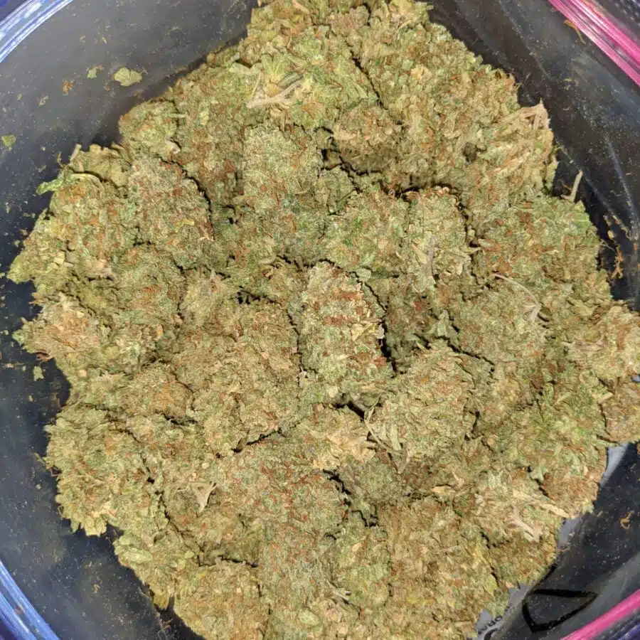 apple kush aa 4 I Apple Kush AA+