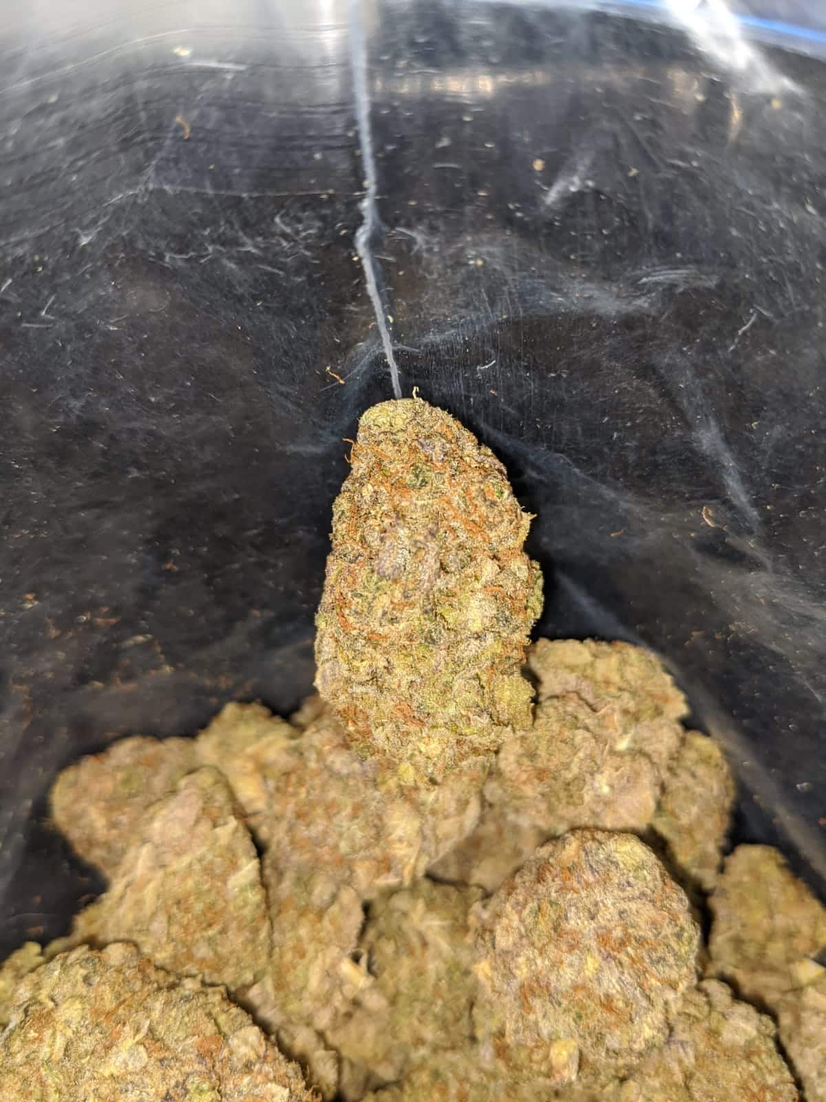 Candyland Bulk Special - Image 6
