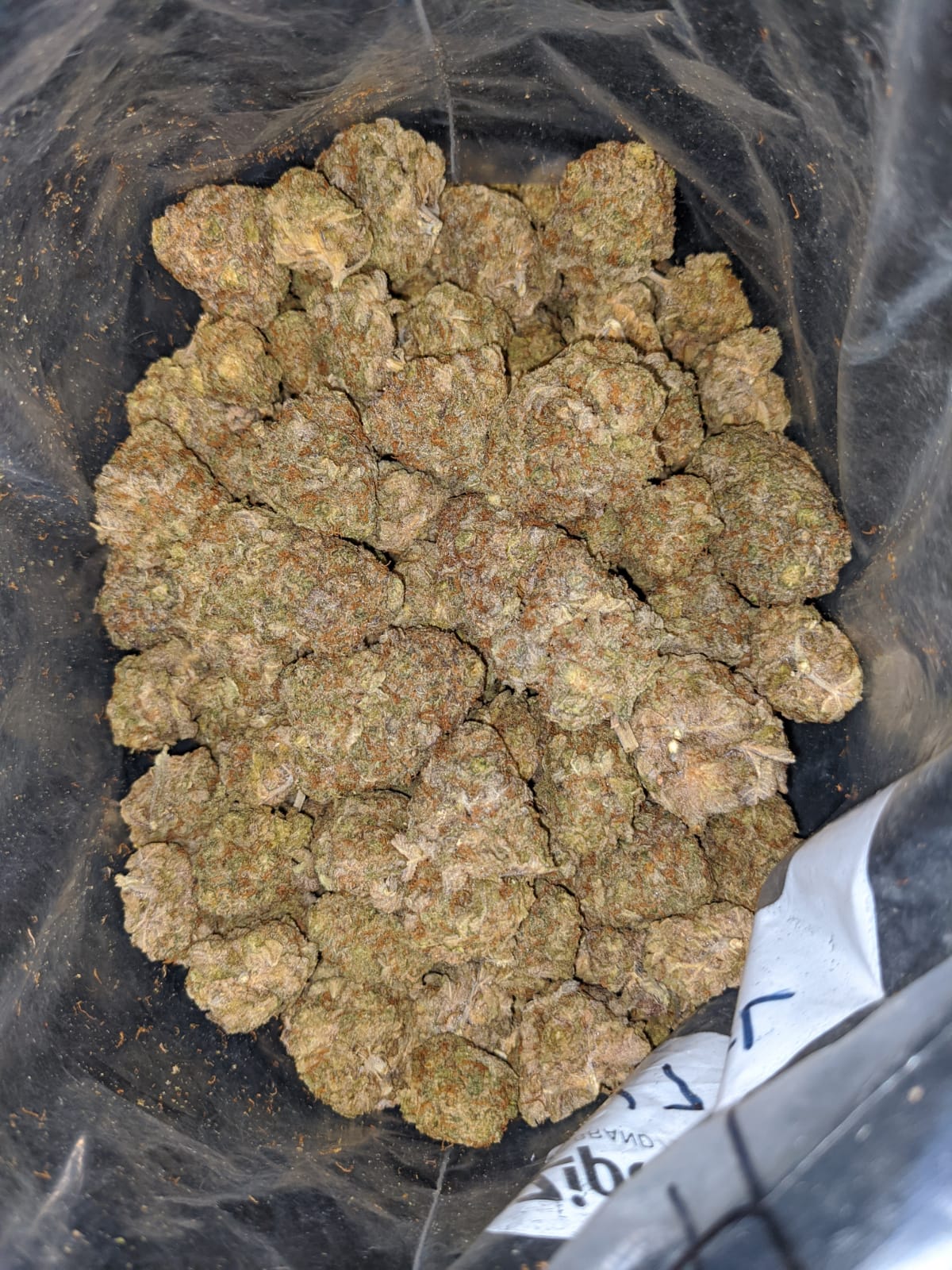 Candyland Bulk Special - Image 7