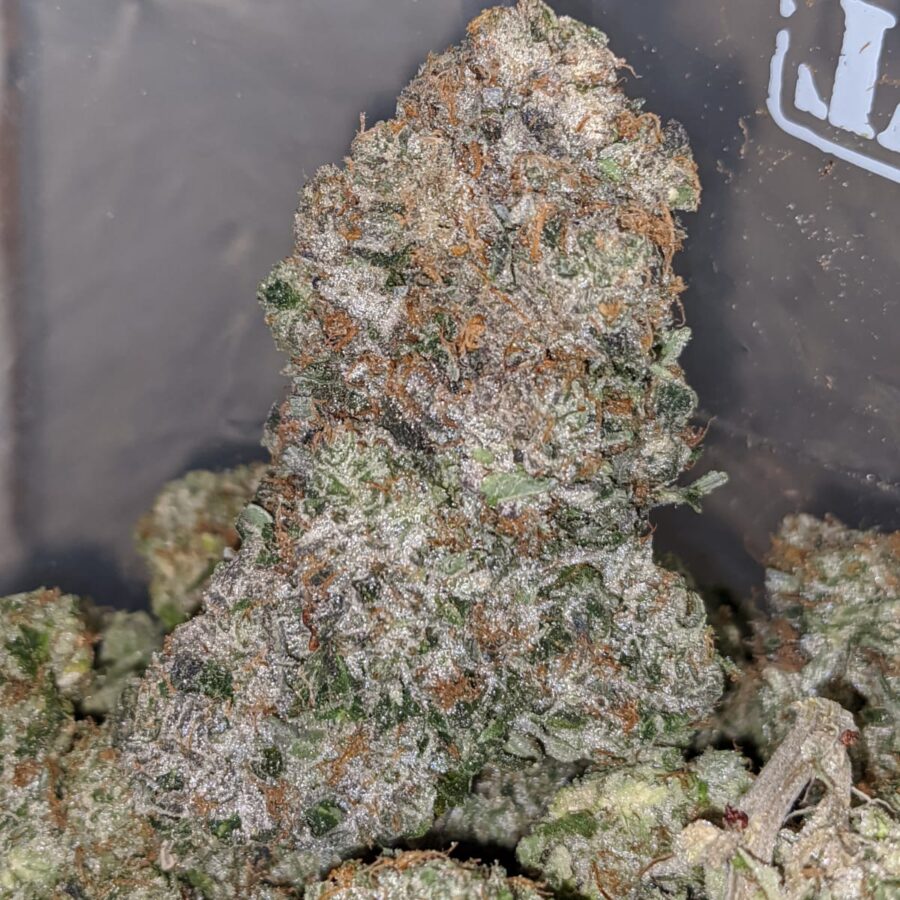 Comatose Pink AAAA - Image 5