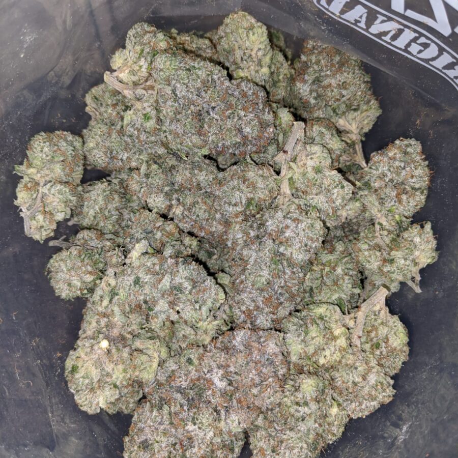 Comatose Pink AAAA - Image 7