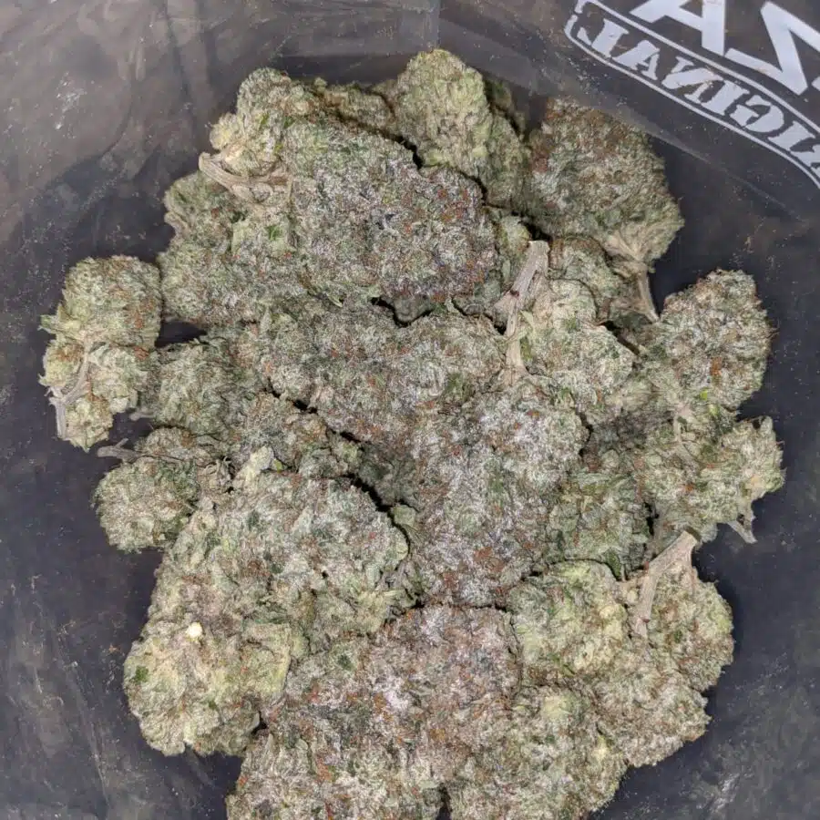 comatose pink aaaa 4 I Comatose Pink AAAA
