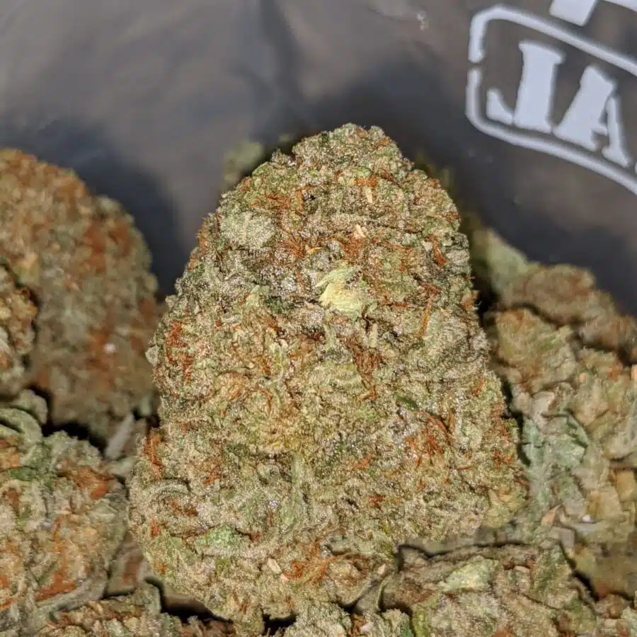 emmas sfv og 1 I Emma's SFV OG