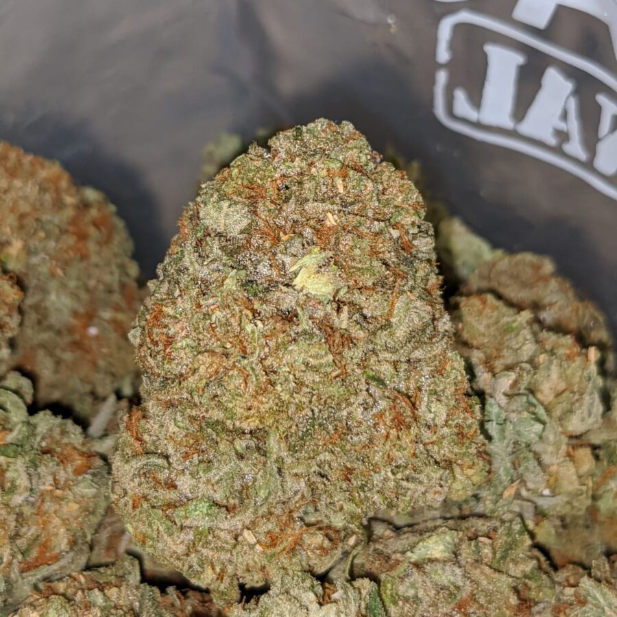 emmas sfv og 2 I Emma's SFV OG