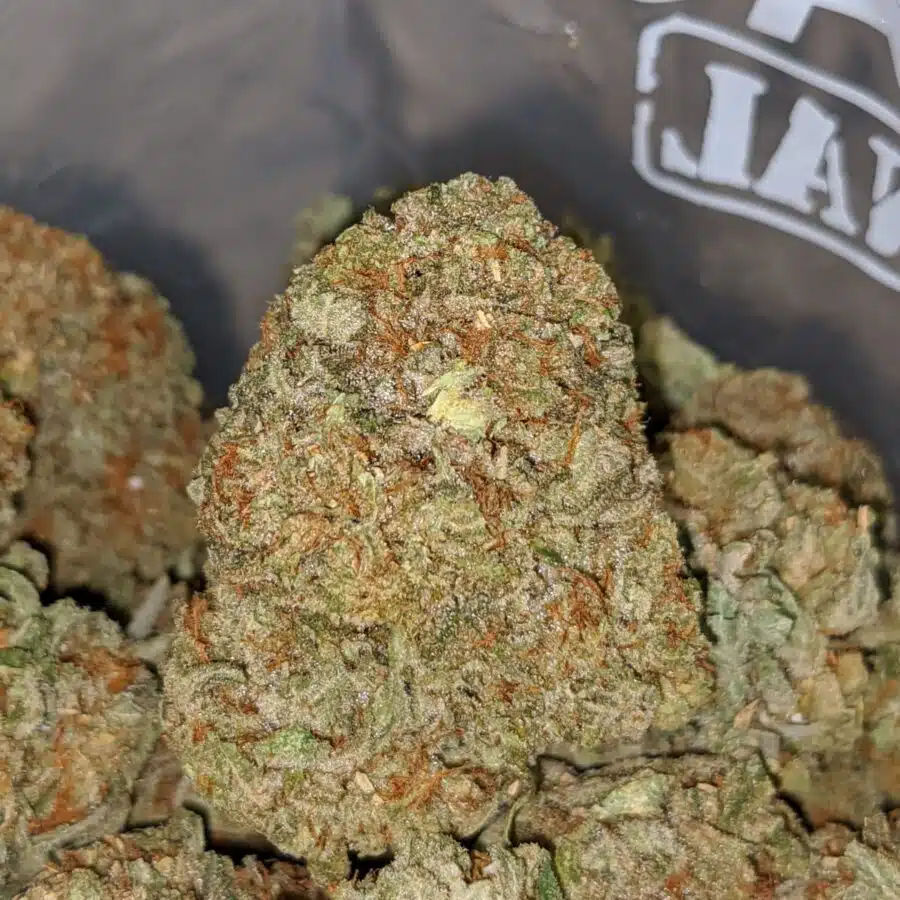 emmas sfv og 2 I Emma's SFV OG