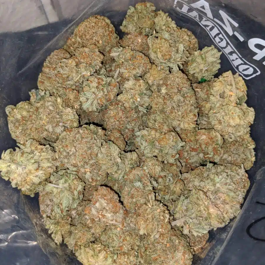 emmas sfv og 3 I Emma's SFV OG
