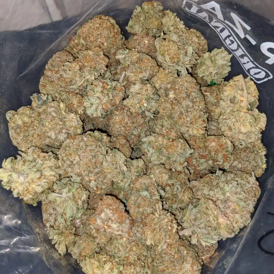 emmas sfv og 4 I Emma's SFV OG